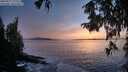 ./images/koeye/fitz-hugh/20250927/fitz-hugh20250927_191501M.jpg
