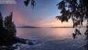 ./images/koeye/fitz-hugh/20250927/fitz-hugh20250927_192002M.jpg