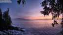 ./images/koeye/fitz-hugh/20250927/fitz-hugh20250927_194002M.jpg