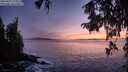 ./images/koeye/fitz-hugh/20250927/fitz-hugh20250927_194501M.jpg