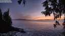 ./images/koeye/fitz-hugh/20250927/fitz-hugh20250927_195001M.jpg