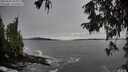 ./images/koeye/fitz-hugh/20250928/fitz-hugh20250928_103001M.jpg