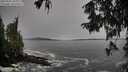 ./images/koeye/fitz-hugh/20250928/fitz-hugh20250928_110001M.jpg