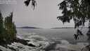 ./images/koeye/fitz-hugh/20250928/fitz-hugh20250928_121002M.jpg