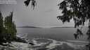 ./images/koeye/fitz-hugh/20250928/fitz-hugh20250928_141501M.jpg