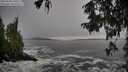 ./images/koeye/fitz-hugh/20250928/fitz-hugh20250928_150501M.jpg