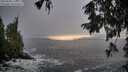 ./images/koeye/fitz-hugh/20250928/fitz-hugh20250928_173001M.jpg