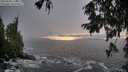 ./images/koeye/fitz-hugh/20250928/fitz-hugh20250928_174501M.jpg