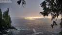 ./images/koeye/fitz-hugh/20250928/fitz-hugh20250928_182002M.jpg