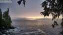 ./images/koeye/fitz-hugh/20250928/fitz-hugh20250928_183001M.jpg