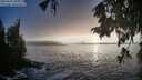 ./images/koeye/fitz-hugh/20250928/fitz-hugh20250928_190001M.jpg