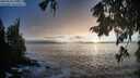./images/koeye/fitz-hugh/20250928/fitz-hugh20250928_190501M.jpg