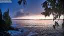 ./images/koeye/fitz-hugh/20250928/fitz-hugh20250928_192001M.jpg