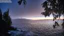 ./images/koeye/fitz-hugh/20250928/fitz-hugh20250928_193501M.jpg