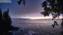 ./images/koeye/fitz-hugh/20250928/fitz-hugh20250928_194001M.jpg