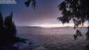 ./images/koeye/fitz-hugh/20250928/fitz-hugh20250928_194501M.jpg