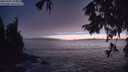 ./images/koeye/fitz-hugh/20250928/fitz-hugh20250928_195001M.jpg