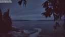 ./images/koeye/fitz-hugh/20250929/fitz-hugh20250929_065001M.jpg