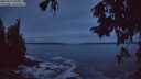 ./images/koeye/fitz-hugh/20250929/fitz-hugh20250929_065501M.jpg