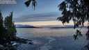 ./images/koeye/fitz-hugh/20250929/fitz-hugh20250929_075001M.jpg