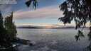 ./images/koeye/fitz-hugh/20250929/fitz-hugh20250929_081001M.jpg