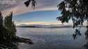 ./images/koeye/fitz-hugh/20250929/fitz-hugh20250929_083002M.jpg