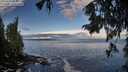 ./images/koeye/fitz-hugh/20250929/fitz-hugh20250929_085001M.jpg