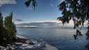 ./images/koeye/fitz-hugh/20250929/fitz-hugh20250929_085501M.jpg