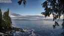 ./images/koeye/fitz-hugh/20250929/fitz-hugh20250929_090001M.jpg