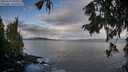 ./images/koeye/fitz-hugh/20250929/fitz-hugh20250929_091501M.jpg