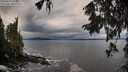 ./images/koeye/fitz-hugh/20250929/fitz-hugh20250929_094502M.jpg