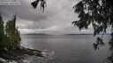 ./images/koeye/fitz-hugh/20250929/fitz-hugh20250929_104502M.jpg