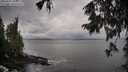 ./images/koeye/fitz-hugh/20250929/fitz-hugh20250929_105001M.jpg