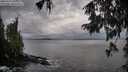 ./images/koeye/fitz-hugh/20250929/fitz-hugh20250929_105501M.jpg