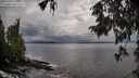 ./images/koeye/fitz-hugh/20250929/fitz-hugh20250929_110002M.jpg