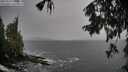 ./images/koeye/fitz-hugh/20250929/fitz-hugh20250929_124501M.jpg