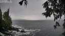 ./images/koeye/fitz-hugh/20250929/fitz-hugh20250929_125501M.jpg