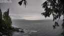 ./images/koeye/fitz-hugh/20250929/fitz-hugh20250929_130001M.jpg