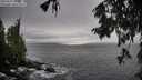 ./images/koeye/fitz-hugh/20250929/fitz-hugh20250929_130501M.jpg