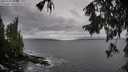 ./images/koeye/fitz-hugh/20250929/fitz-hugh20250929_131502M.jpg