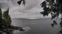 ./images/koeye/fitz-hugh/20250929/fitz-hugh20250929_132501M.jpg