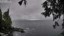 ./images/koeye/fitz-hugh/20250929/fitz-hugh20250929_134501M.jpg