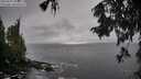 ./images/koeye/fitz-hugh/20250929/fitz-hugh20250929_135001M.jpg