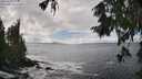 ./images/koeye/fitz-hugh/20250929/fitz-hugh20250929_143501M.jpg