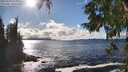 ./images/koeye/fitz-hugh/20250929/fitz-hugh20250929_153001M.jpg