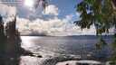 ./images/koeye/fitz-hugh/20250929/fitz-hugh20250929_153501M.jpg