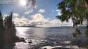 ./images/koeye/fitz-hugh/20250929/fitz-hugh20250929_154002M.jpg