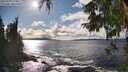 ./images/koeye/fitz-hugh/20250929/fitz-hugh20250929_154501M.jpg