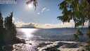 ./images/koeye/fitz-hugh/20250929/fitz-hugh20250929_161001M.jpg