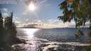 ./images/koeye/fitz-hugh/20250929/fitz-hugh20250929_162001M.jpg